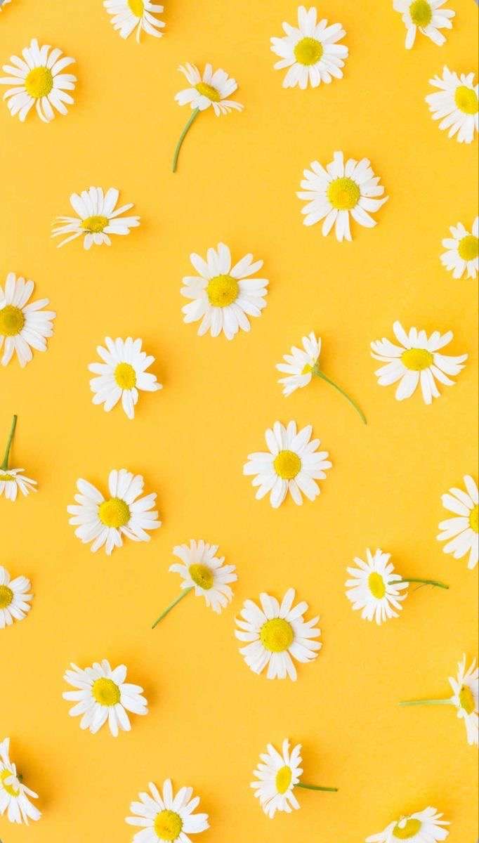 堺市で初めてのVIO脱毛|恥ずかしい・不安な方へ安心して通えるサロン