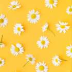 堺市で初めてのVIO脱毛｜恥ずかしい・不安な方へ安心して通えるサロン